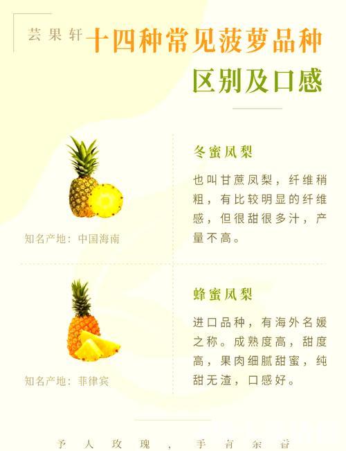 教你玩转菠萝短视频创作秘诀